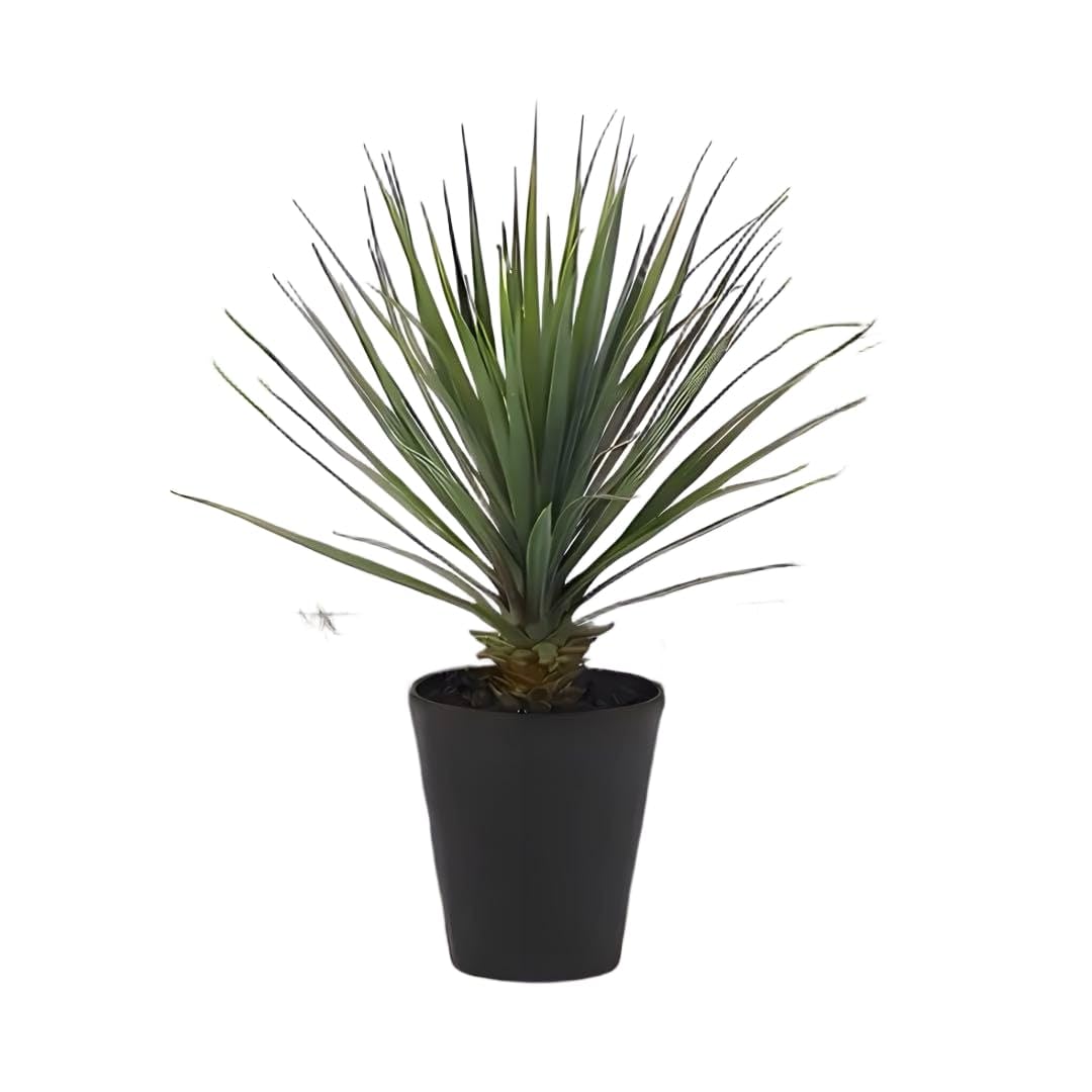 光触媒　観葉植物　ウォールグリーン　フェイクグリーン　ユッカロストラータ140 Amazon.co.jp: 光触媒 人工観葉植物 ウォールグリーン フェイク